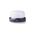 Auer signal Gmbh - Feu LED multifonctions compact