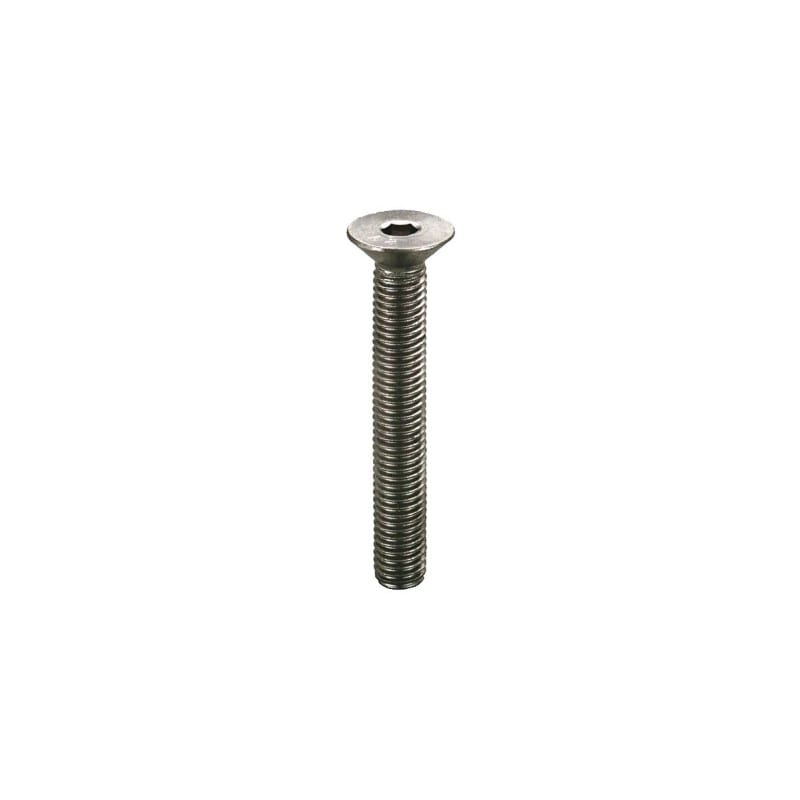 Joriside - Vis Inox M8x16mm