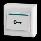 Aiphone - Bouton poussoir de sortie saillie à double sécurités no/nf en abs