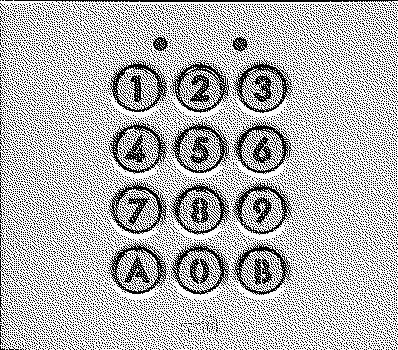 Aiphone - Module clavier 100 codes 2 relais avec façade pour gamme gt