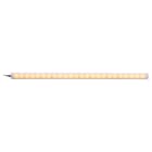 Patlite Europe GMBH - Eclairage LED, 24VDC, ambre 590nm, 600mm, câble 3m, IP66/67/69K