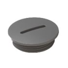 Morek - Vis de fermeture, M12, PA6, gris clair RAL7035, IP54