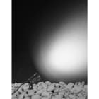 Novalux - PEAK : SPOT SUR PIQUET EXTERIEUR 4W 220/240V 3000K IP65 24° NOIR