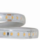 Integratech - Ruban led 128LED/m SMD2835 24V IP67 6000K 5m