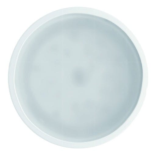 SIDELITE - NET sc XL diam.110mm 15W 1360lm 3000K IP20 BR 70? 220-240V 50/60Hz 700mA