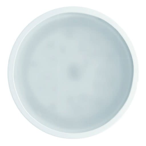 SIDELITE - NET SC XL diam.200 mm 15W 1740lm 4000K IP20 BR 70° 220-240V 700mA