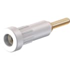 Multi Contact - Douille 2 mm blanc