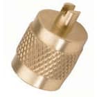 Teddington - Bouchon pour vanne d'accès Schrader 1/4"