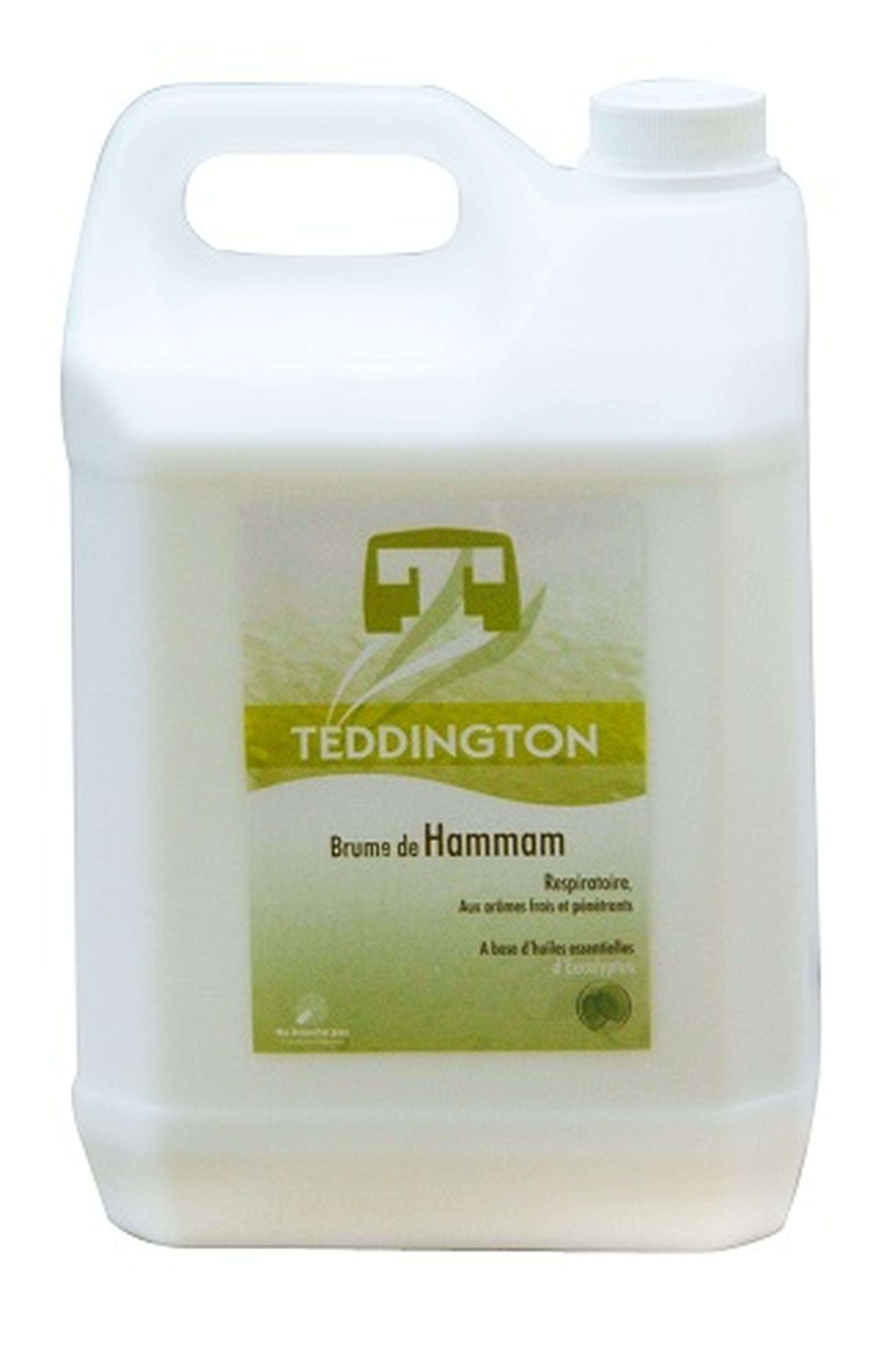 Teddington - Bidon 5 Litres de désinfectant pour hammam