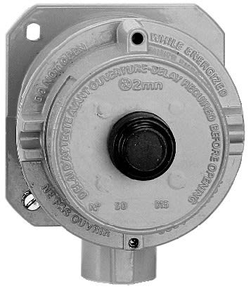 Atx - D - Bouton poussoir TEMPORISÉ M20