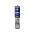 BOSTIK - BOSTIK ACRYL PEINTURE Cartouche 310 ml