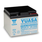 Yuasa - Batterie stationnaire étanche au plomb NPC 24Ah 12V application cyclage