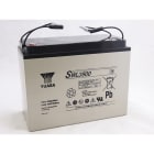 Yuasa - Batterie stationnaire étanche pour onduleur SWL3800 134Ah - 12V