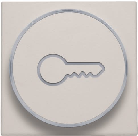 Niko - FINITION AVEC SYMBOLE CLÉ POUR BOUTON-POUSSOIR 6A AVEC CULOT E10