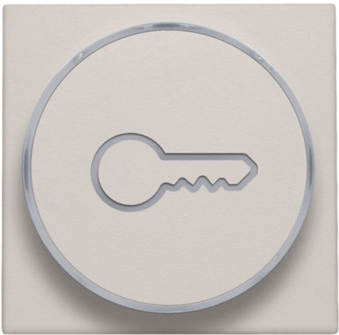 Niko - FINITION AVEC SYMBOLE CLÉ POUR BOUTON-POUSSOIR 6A AVEC CULOT E10