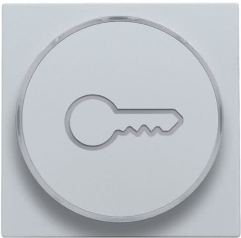 Niko - FINITION AVEC SYMBOLE CLÉ POUR BOUTON-POUSSOIR 6A AVEC CULOT E10