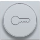 Niko - FINITION AVEC SYMBOLE CLÉ POUR BOUTON-POUSSOIR 6A AVEC CULOT E10
