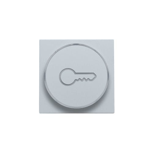 Niko - FINITION AVEC SYMBOLE CLÉ POUR BOUTON-POUSSOIR 6A AVEC CULOT E10