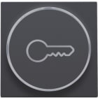 Niko - FINITION AVEC SYMBOLE CLÉ POUR BOUTON-POUSSOIR 6A AVEC CULOT E10