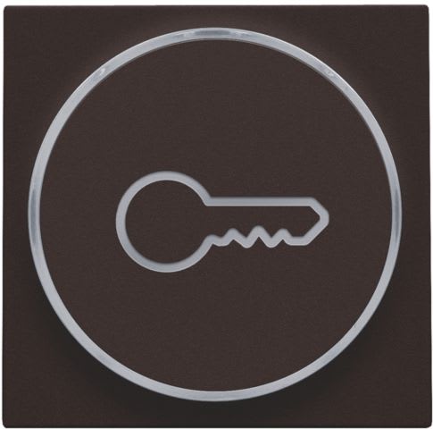 Niko - FINITION AVEC SYMBOLE CLÉ POUR BOUTON-POUSSOIR 6A AVEC CULOT E10