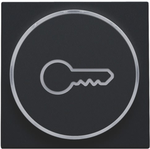 Niko - FINITION AVEC SYMBOLE CLÉ POUR BOUTON-POUSSOIR 6A AVEC CULOT E10