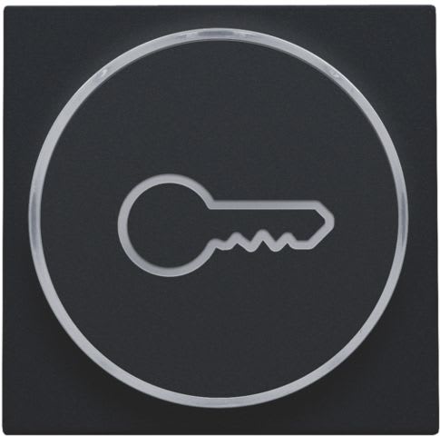 Niko - FINITION AVEC SYMBOLE CLÉ POUR BOUTON-POUSSOIR 6A AVEC CULOT E10