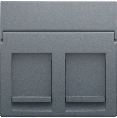 Niko - ENJOLIVEUR DATA 2X RJ