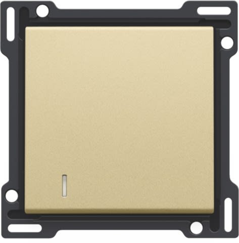 Niko - SET DE FINITION AVEC VOYANT PR INTERRUPTEUR/BOUTON-POUSS. SIMPLE