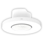 Niko - DÉTECTEUR PRÉSENCE P42MR, 230V, M, 12-13M, BOÎTE D'ENCASTREMENT