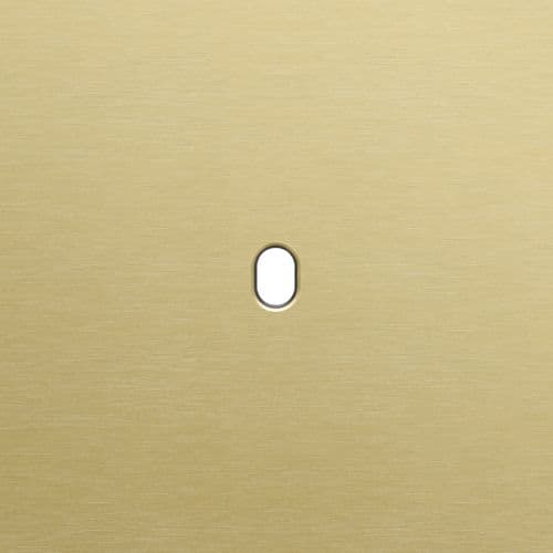 Niko - PLAQUE SIMPLE, POUR NIKO TOGGLE (1P), NIKO HOME CONTROL