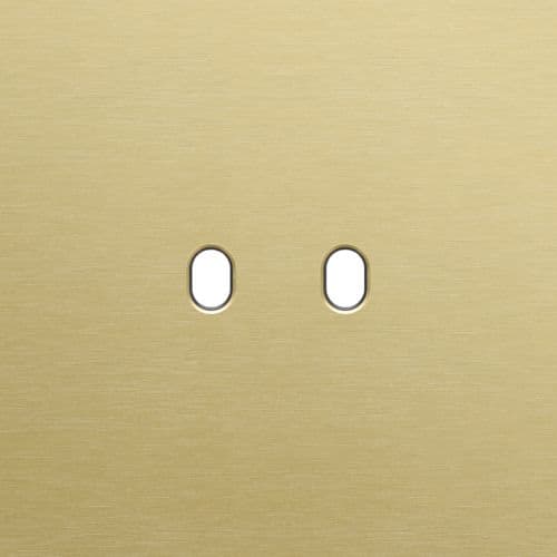 Niko - PLAQUE SIMPLE, POUR NIKO TOGGLE (2P), NIKO HOME CONTROL
