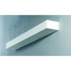 Sedap Atelier - APPLI. L:620 PLATRE NAT DIM. 1-10V