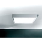 Sedap Atelier - PLAFONNIER CARRe LED DALI PLATRE NATUREL