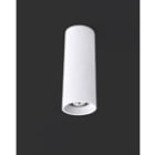 Sedap Atelier - PLAFONNIER TUBE 300 BLANC MAT