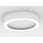 Sedap Atelier - COUPOLE-100 PLATRE NATUREL LED RGB-W