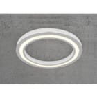 Sedap Atelier - PLAFONNIER ANNEAU-100 BLANC MAT LED IRC90 2700K DIMMABLE 1-10V