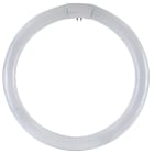 Targetti - CIRCOLINA G10Q 32W 6500K TRIFOSFORI