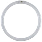 Targetti - CIRCOLINA G10Q 40W 6500K TRIFOSFORI