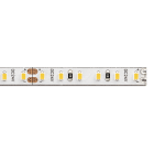 Targetti - DURASTRIP EN 24V 7,2W-m IP20 6000K 5M
