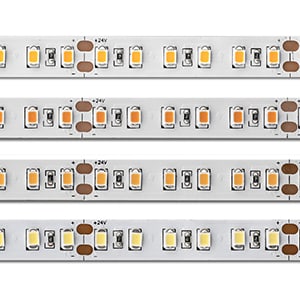 Targetti - STRIP FOOD 24V 14W-M PESCE IP68 5M