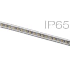Targetti - DURASTRIP-P 12W-M 24V IP65 5MT 6000K Ra>90