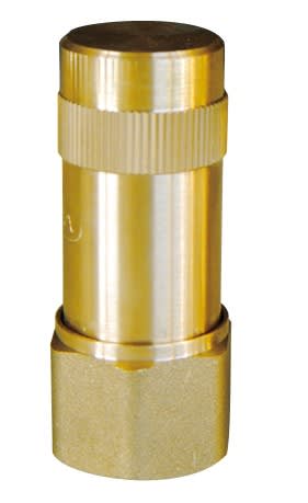 Thermador - Anti-Bélier à ressort 1" F laiton ACSprégonflé 3,5 bar Pmax 10b Tmax 100°C