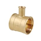 Thermador - Té porte-thermomètre 1''1/2FF 1/2"FLaiton pour plongeur 65 mm