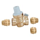 Thermador - Réducteur de pression FF 3/4". Sans mano. Eau froide + 3 raccords multifiletés