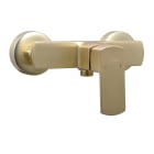 Thermador - Mitigeur pour Douche DOUR laiton brosse - poignée verticale