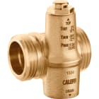 Thermador - Soupape antigel compacte iStop®PLUS 1" pour une protection contre le gel.