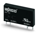 Wago Contact - Module avec relais statiques (SSR) Entrée DC 24 V