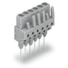 Wago Contact - Female connector for rail-mount terminal Droit, gris