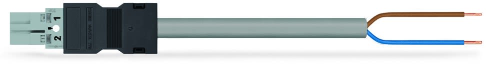 Wago Contact - Câble de raccordement précâblé connecteur mâle/extrémité libre, gris