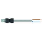 Wago Contact - Câble de raccordement précâblé connecteur mâle/extrémité libre, gris
